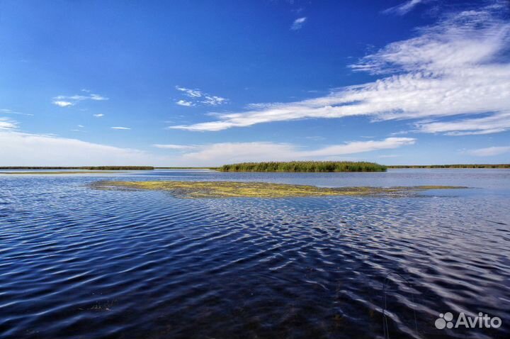 Прогулкавдельтеволги лотосовые поля выход вКаспий