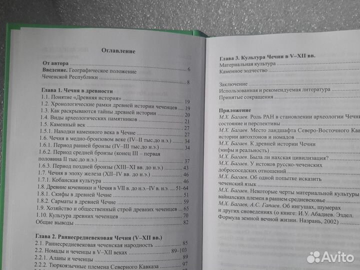 Книга Багаева