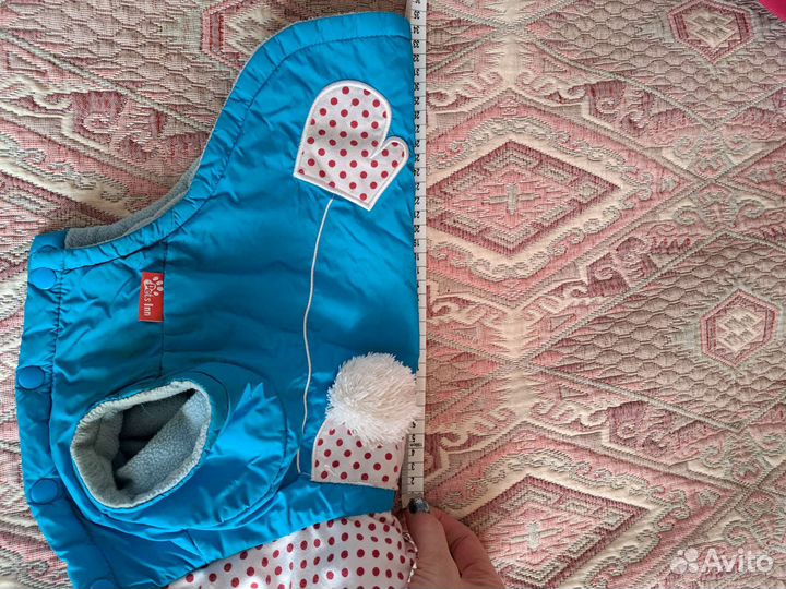 Одежда для маленьких собак бу