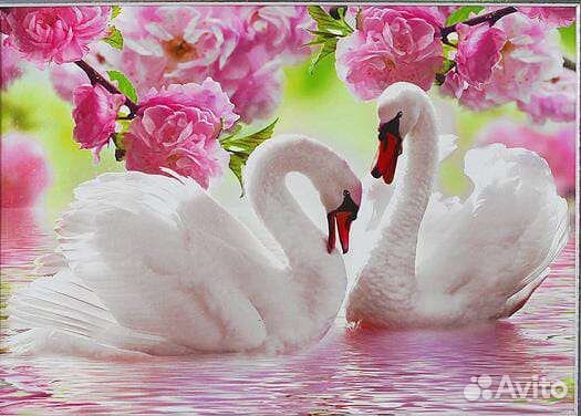 Новая алмазная вышивка мозаика Пара лебедей
