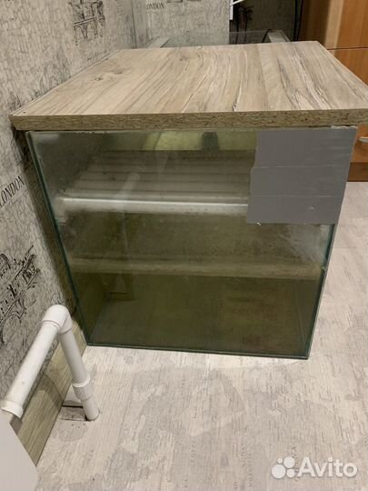 Черепаха с аквариумом