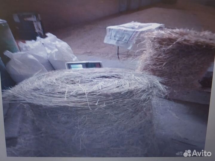 Корма для животных оптом