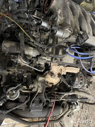 Двигатель Mazda MPV LW28G GY 2,5 170лс