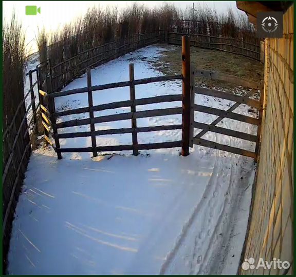 Видеонаблюдение на животноводческую точку