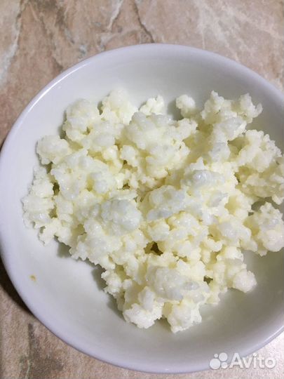 Кефирный гриб (тибетский, молочный)