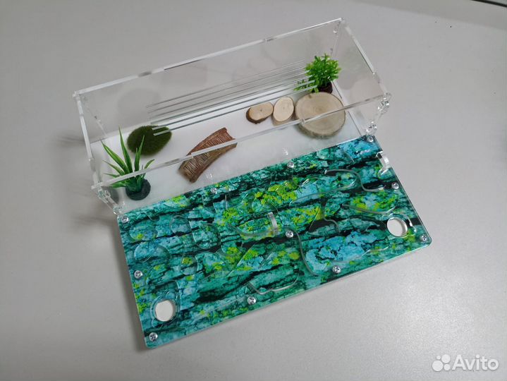 Муравьиный домик, формикарий, муравьи