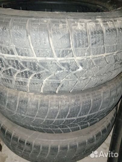 Tigar Winter 175/70 R13