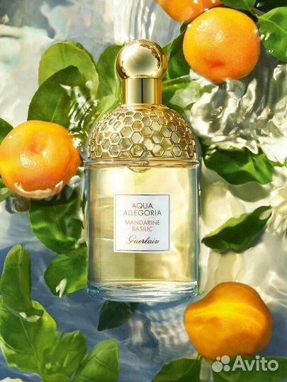 Версионный эквивалент Aqua Allegoria Mandarine