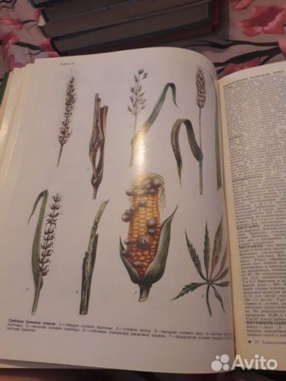 Сельско-хозяйственный энциклопедический словарь