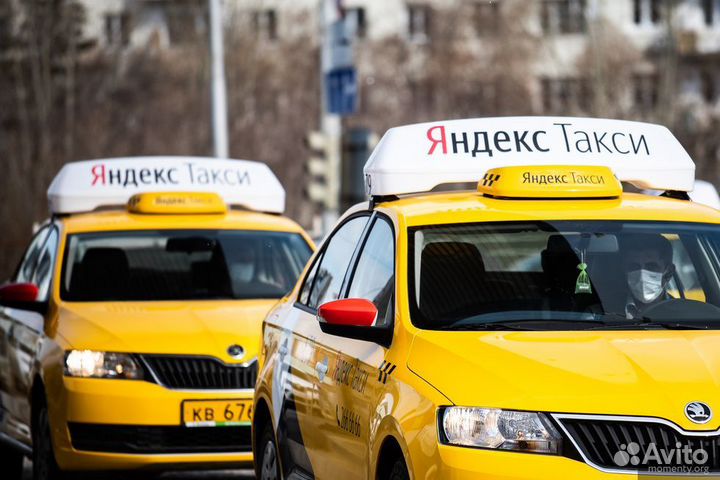 Руководитель компании