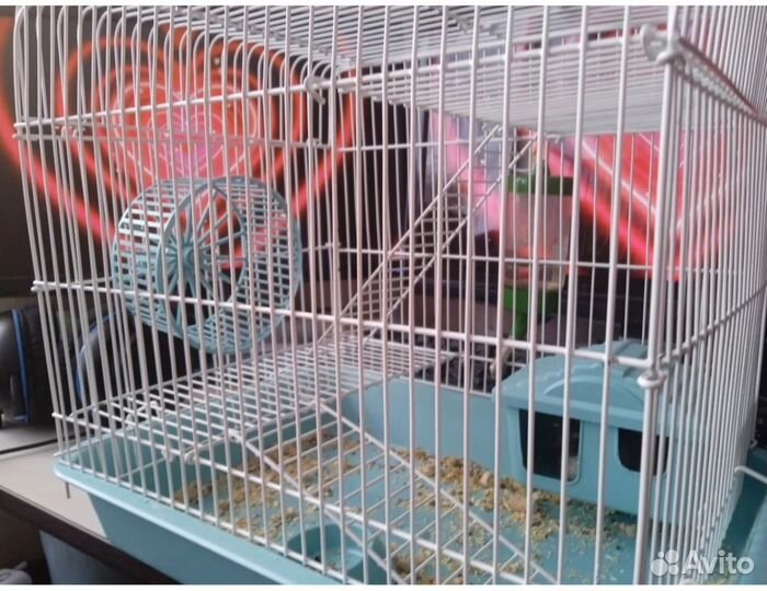 Джунгарский хомяк с клеткой