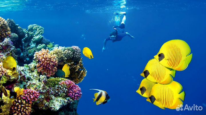 Эксклюзив-тур в Египет 10 нч