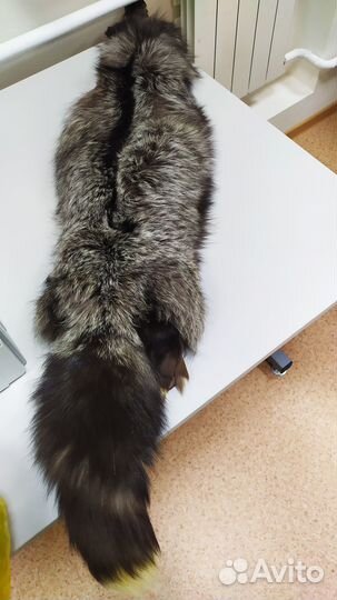 Мех чернобурки (2 шкурки)