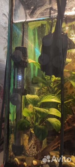 Аквариум с рыбками