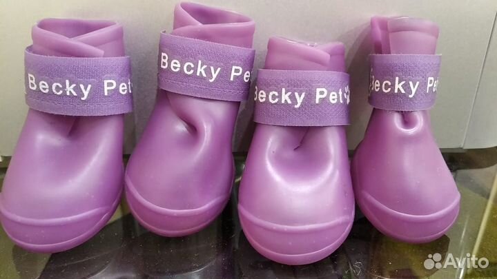 Ботинки для собак