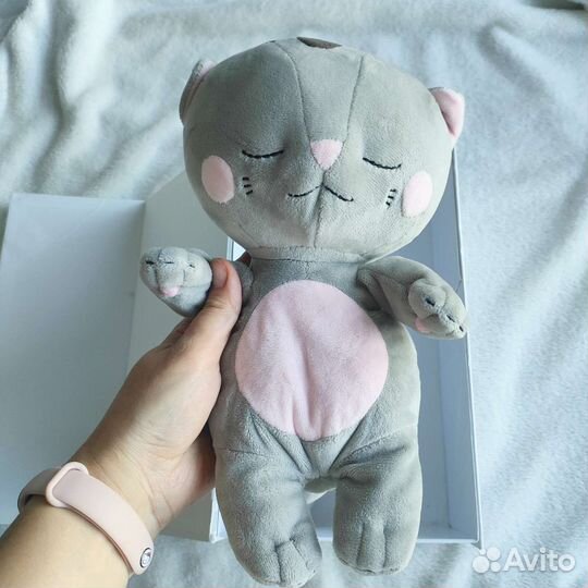 Котенок Shema серый