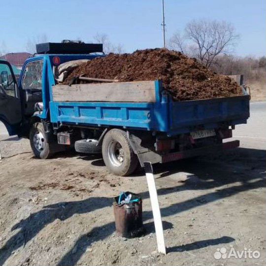 Навоз Крс Газелью