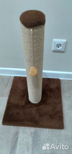 Когтеточка