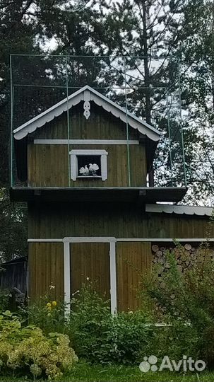 В Кижи круглый год+Любовь и голуби+ Царицын ключ
