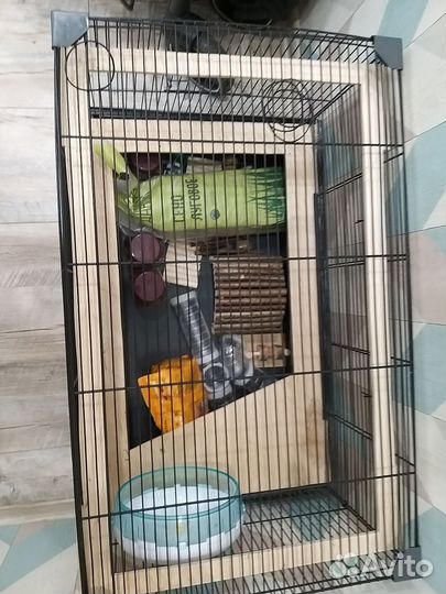Клетка для грызунов бу
