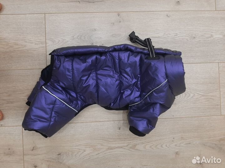 Комбинезон на маленькую собаку