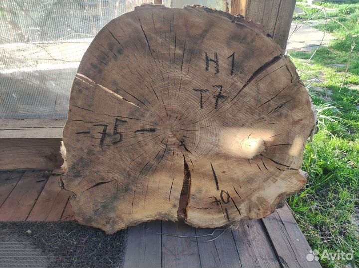 Спилы из дуба, карагача