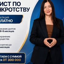 Списание долгов с сохранением ипотеки, Софрино