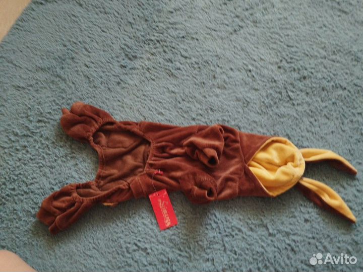 Костюм для собаки