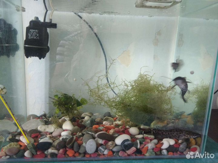 Аквариум