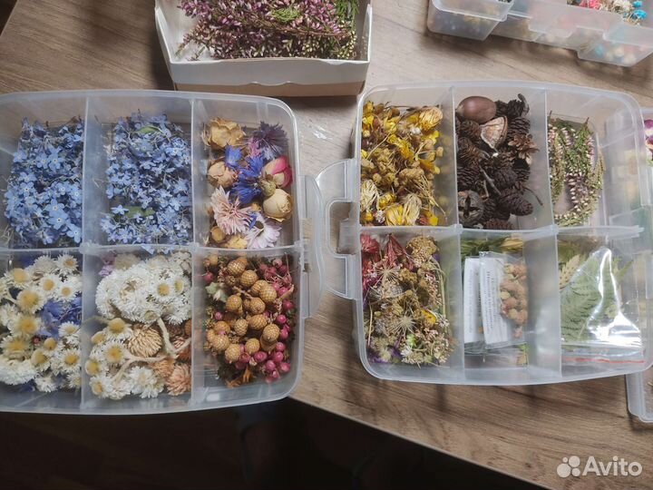 Сухоцветы для творчества, смолы