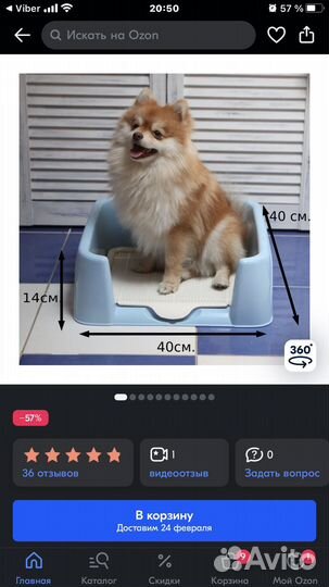 Горшок для собак