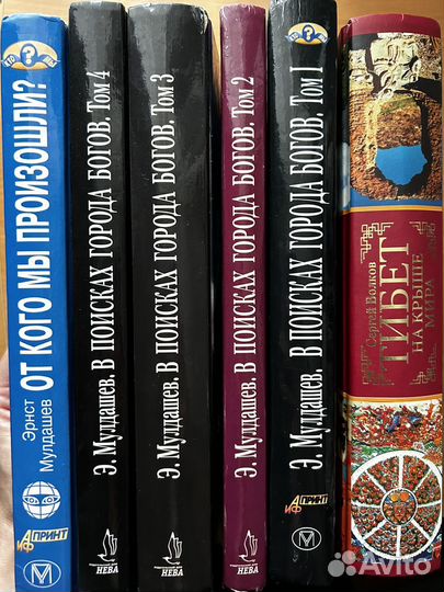 Эрнст Мулдашев. 5 книг. В поисках города богов