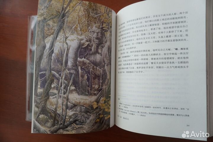 Властелин колец на китайском языке (Любой том)