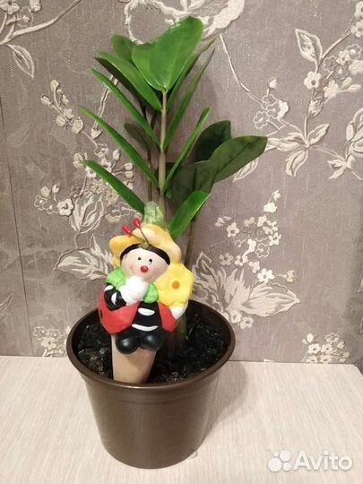 Ороситель для комнатных растений