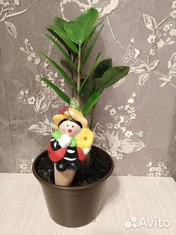 Ороситель для комнатных растений