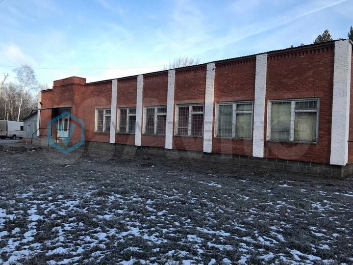 ПСН, торговое, общепит