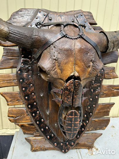 Череп доисторического бизона