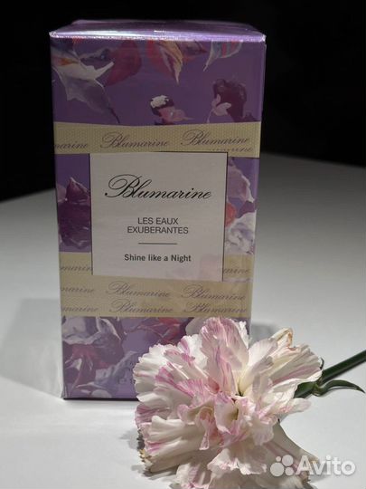 Blumarine Shine like a Night