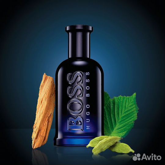 Hugo boss bottled Night