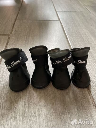 Ботинки для собак