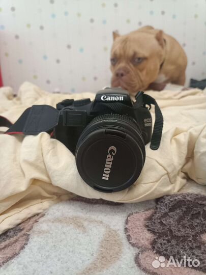 Фотоаппарат с сумкой
