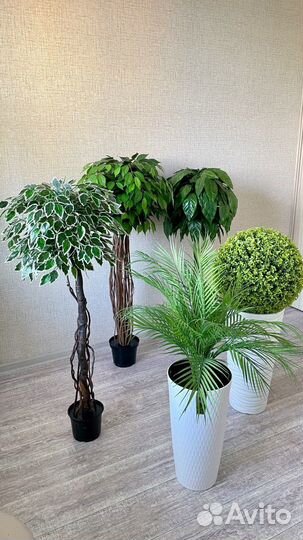 Искусственные деревья, цветы, фикус, манго