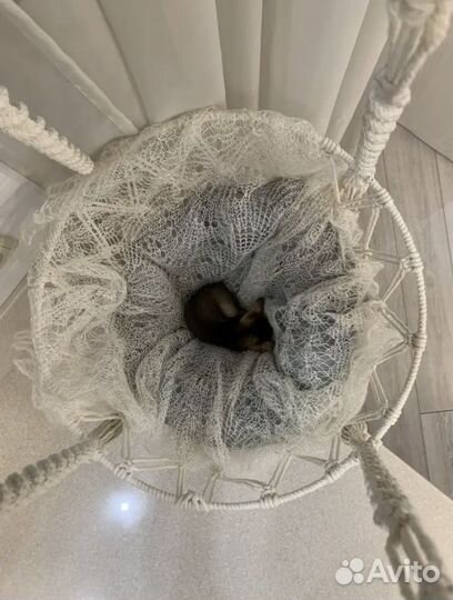 Гамак для кошки