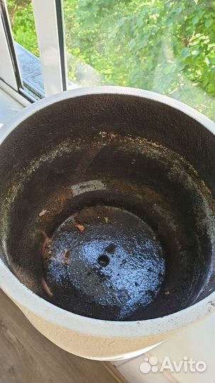 Кашпо, цветочный горшок