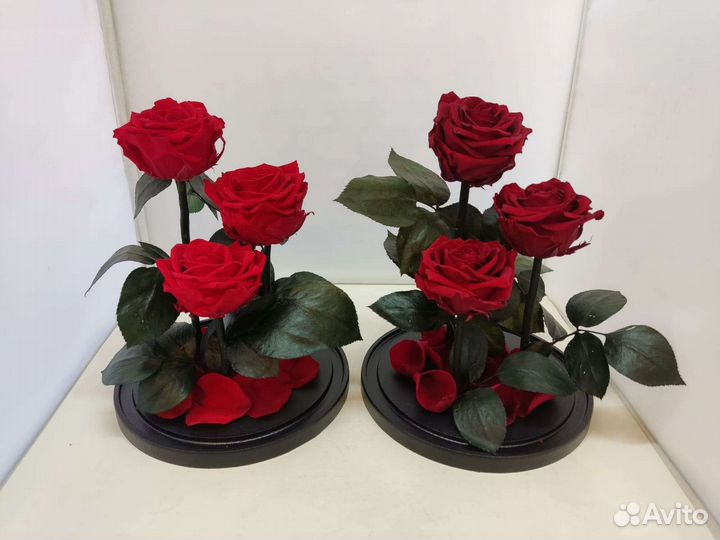 Роза в колбе