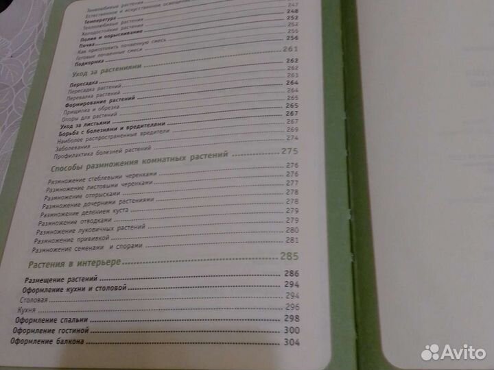 Комнатные растения