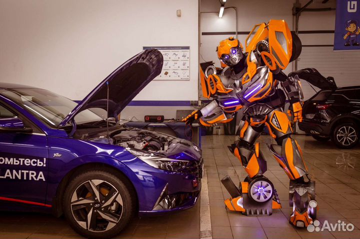 Аниматор Трансформеры Бамблби и Оптимус