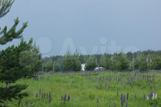 Участок 3 га (СНТ, ДНП)