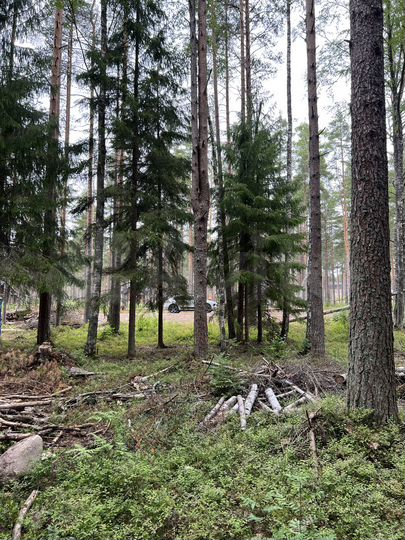 Участок 12,6 сот. (ИЖС)