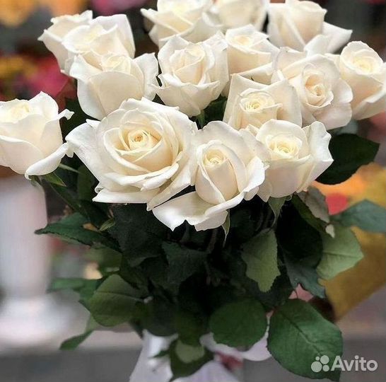 Высокие розы 150 160 170 180 190см доставка Москва